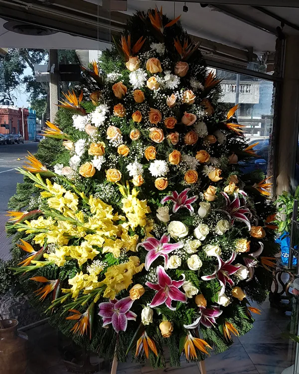 Corona