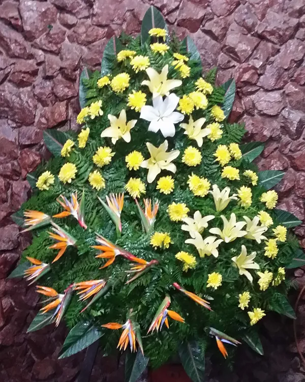 Corona