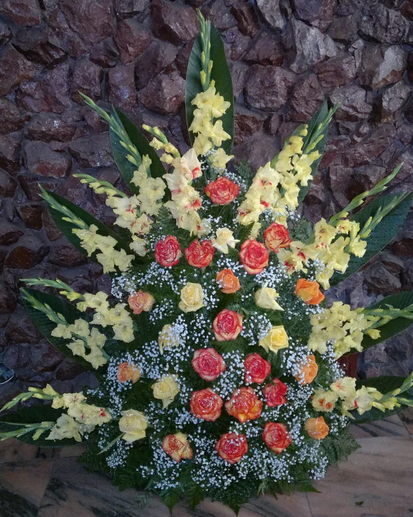 Palma