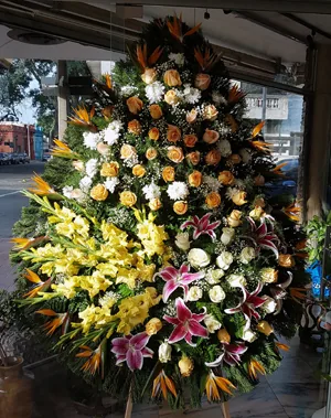 Corona